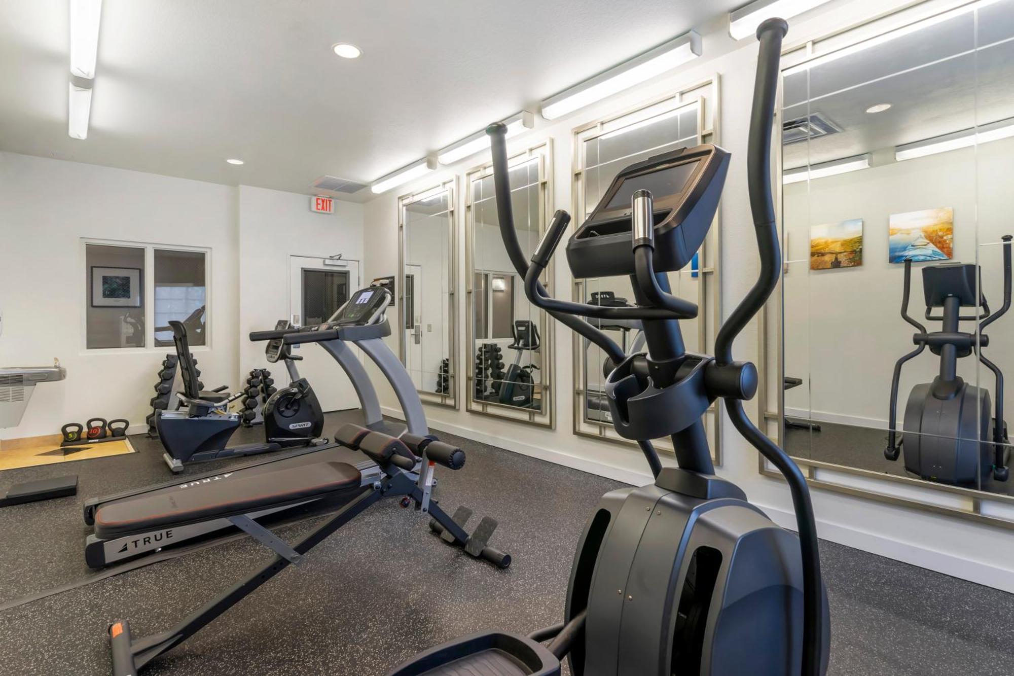 Comfort Inn & Suites Port Charlotte-Punta Gorda מראה חיצוני תמונה
